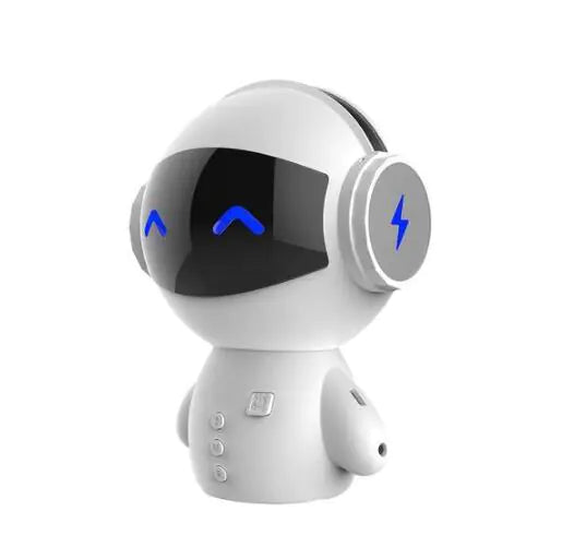 Bluetooth Portable Speaker for Computer Use